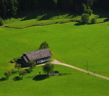 house in nature with plenty of green grass and forest